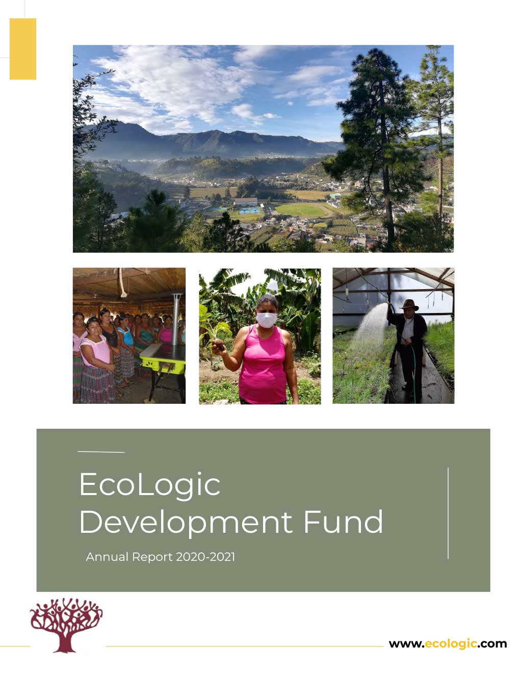 Our Impact | EcoLogic Development Fund